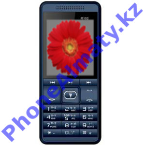 Простые мобильные телефоны Ryte R102