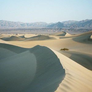 Песок Мексики для смартфонов: экология